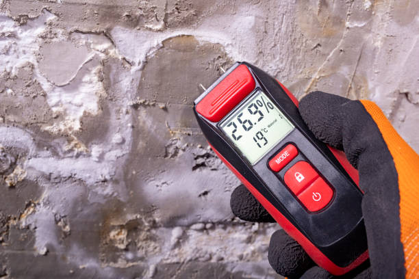 Best Fast Mold Removal  in Solana, FL